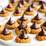Healthy Pumpkin Blossoms